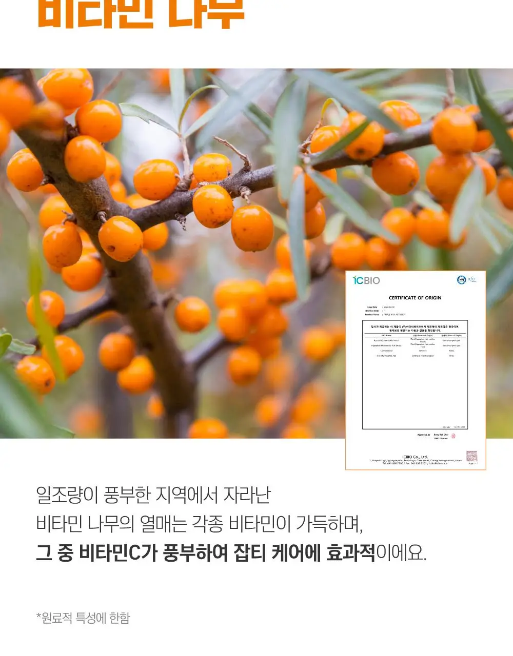 [잡티청소] 라운드랩 비타 나이아신 잡티 세럼 30ml 기획 (+1.5mlx3매) 상세페이지 7